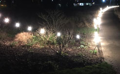 festoon hire , outdoor lighting hire , rope light hire , string light hire , wedding light hire , outdoor festoon hire , 