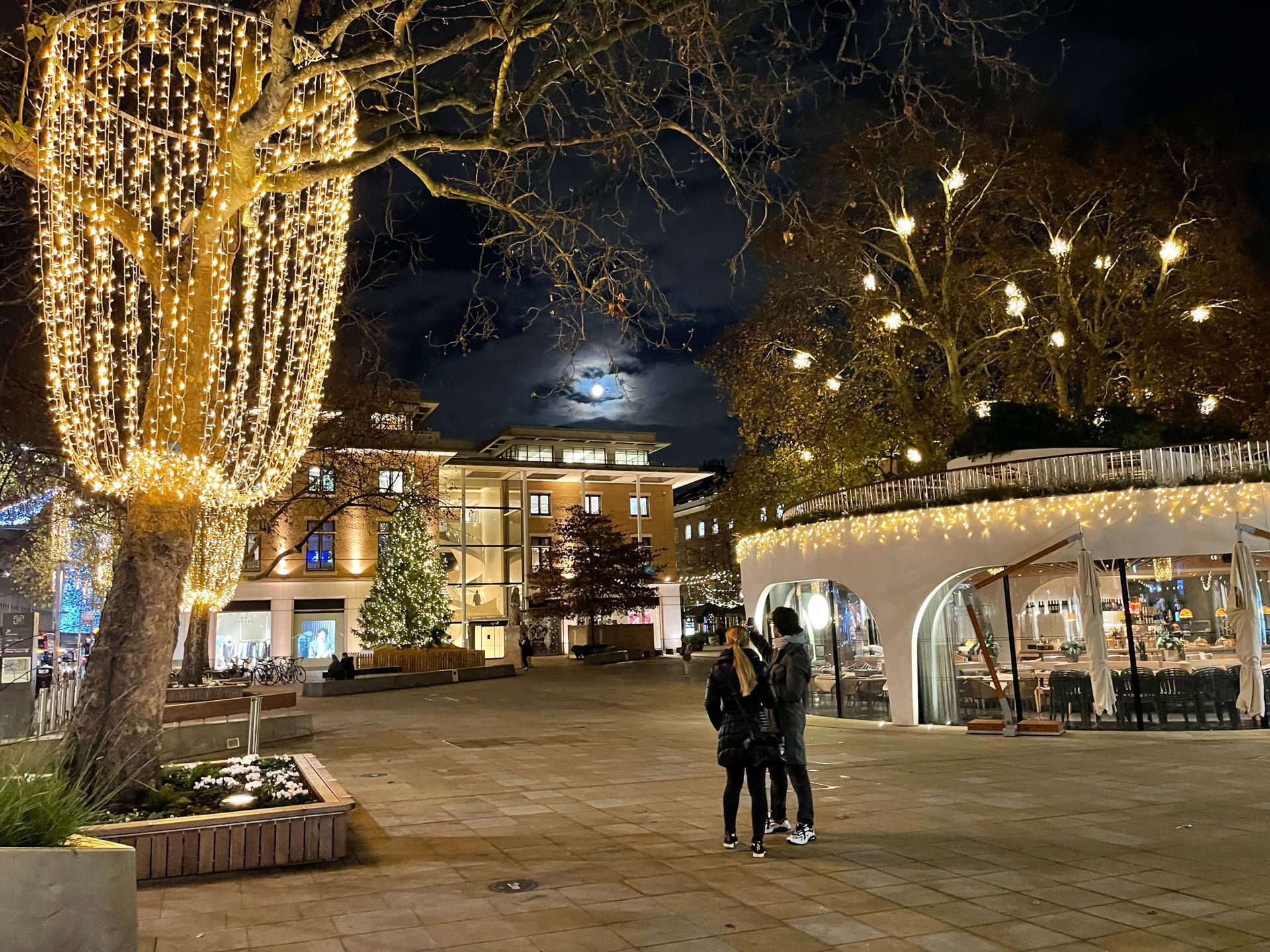 chelsea christmas , picket fencing hire , natural fence hire , rustic barrier hire ,