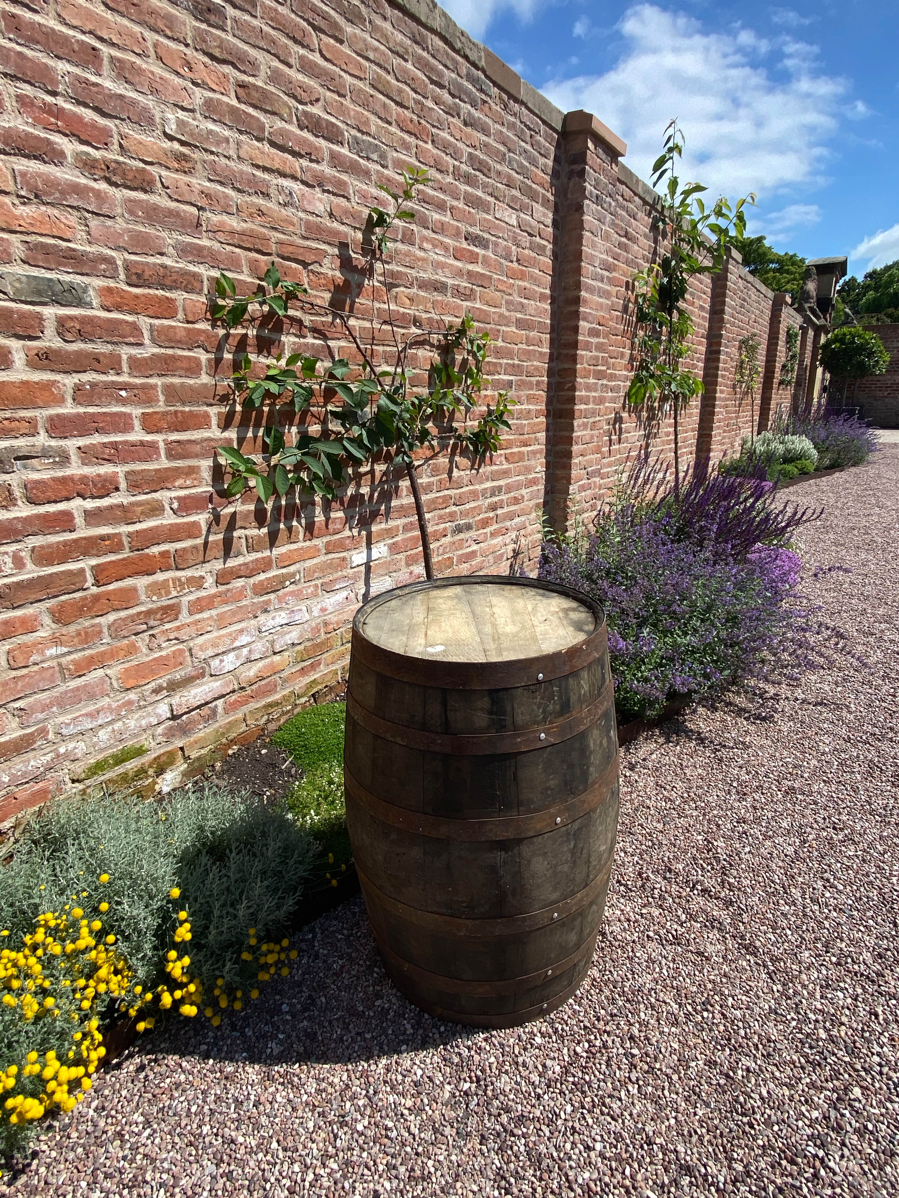 Oak barrel hire , oak barrel hire local , oak barrell hire , oak barrel rent , whiskey barrel for hire , local whisky supplier , 