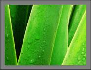 4:3 ratio 4:3 ratio explained , projector hire help , projector screen hire help , how to build a projector screen ,